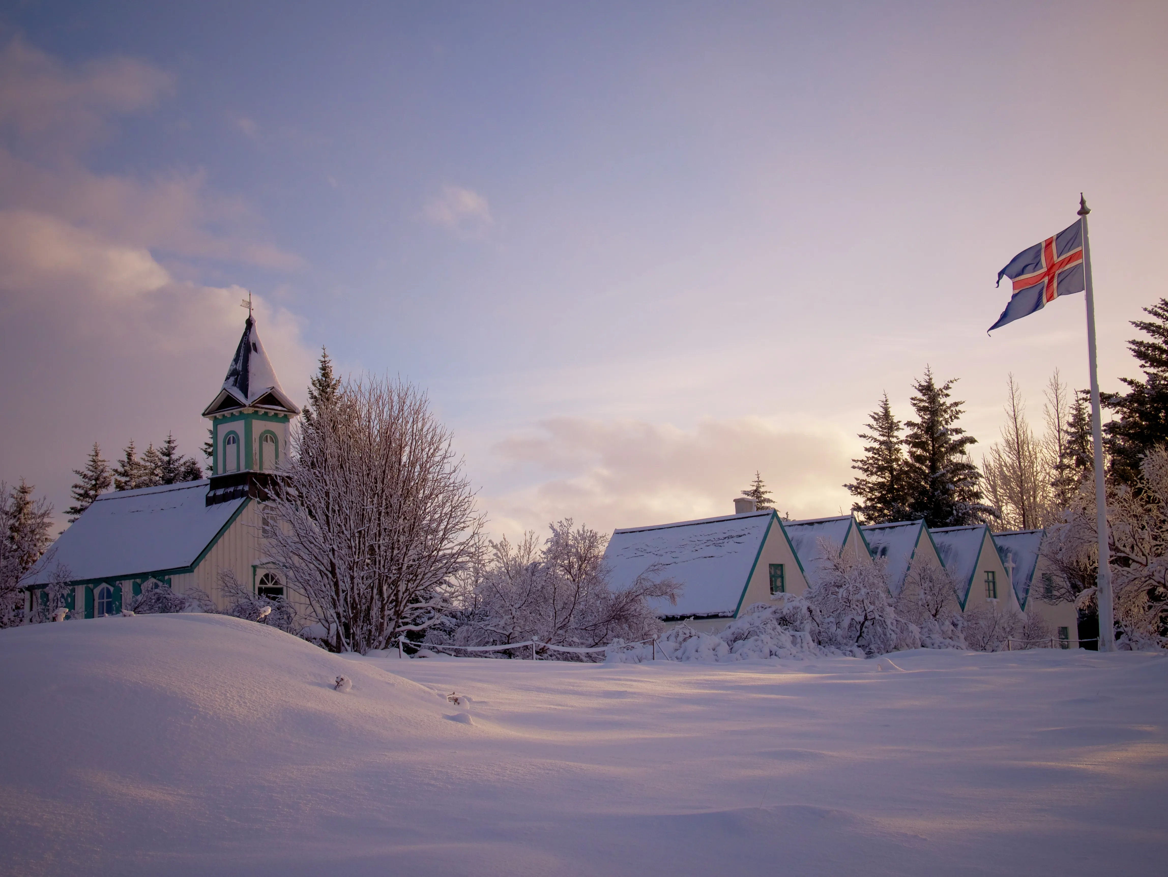 Low Sun, Wind & Snow Gallery - Picture 2